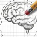 미국 대선을 앞둔 세계+ 민주주의는 어디로? | 11/29 기사논평