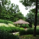 황학산수목원 이미지