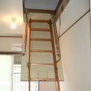 코스모스피아 이미지