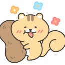 땅콩짐S 이미지