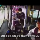 버스기사 폭행하는 20대 여성.gif 이미지