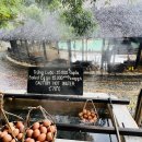 비고리조트 3 이미지