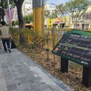 연산초등학교 이미지