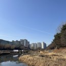 잼코딩학원 26년 2월 수업후기