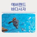 바다랜드 | 에버랜드 바다사자 관람 꿀팁과 생생후기