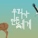 아이아트