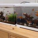 운동케어센터 이미지