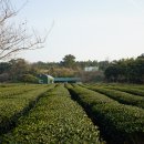 초록마을제주 이미지