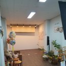 커피볶는사진관다솔 | 세종 고운동 부록 셀프사진관 만삭사진 셀프촬영 내돈내산 후기