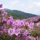 허브밸리(원형광장) 이미지