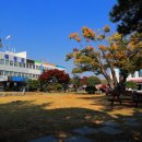 섬진강기차마을 로즈홀 이미지