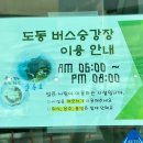 국토관리청 맞은편 | [울릉도 여행 가볼 만한 곳 추천 독도 전망 케이블카] 이른 아침의 독도 전망대 주차장