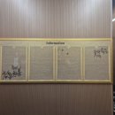 사리현로 | [일산강화유리게시판] 아파트·건물 분위기를 바꾸는 품격 있는 선택, 드림기획 시공 후기