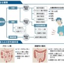 괴로운 복통, 설사…대장질환이 중고령에 증가하는 이유 이미지