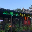 대밭골 | 울산 중구ㅣ태화강 국가정원 근처 3대 국밥 대밭골돼지국밥 내장국밥후기