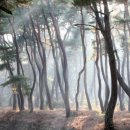 해피팜 이미지
