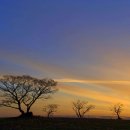 선양목장 이미지