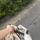 보령세탁소 이미지