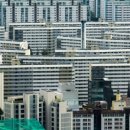 강남-286 이미지