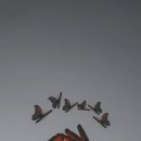 서대구우체국 이미지