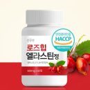 로즈힙퓨레 로즈힙 이미지