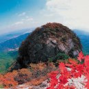 백운산불고기