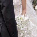 연화목