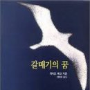 갈매기의 꿈 이미지