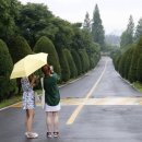 솔방 이미지