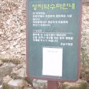 강남-293 이미지