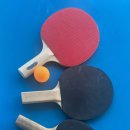 돌고래당구장 이미지