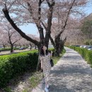 더 바사리 풀빌라 | 홈케어 일상 / 경주 여행 / 엘라포니시 풀빌라 펜션 / 디에고달라팔마 항산화 수액세럼 &amp; 크림 / 로자...