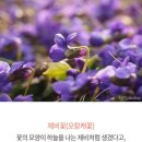 (주)삼덕