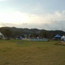 도그아일랜드 이미지