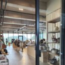 노바운더리 | 제주 서귀포 대형카페 노바운더리 카페 편집샵