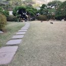 새마을부동산중개사사무소 이미지