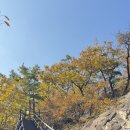 단풍스테이 | 쥔장 추천! 계룡산 단풍 절정 후기 &amp; '숲 속 휴식' 포레스트스테이 풀빌라에서 즐기는 늦가을 힐링