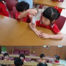 키즈청호어린이집 이미지