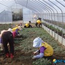 장계국민체육센터 이미지