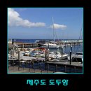 푸른밤라이브 이미지