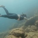 제주포인트투어 이미지