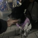 안경은 얼굴 이미지