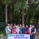 엄광산 동구경계 이미지