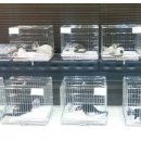 페트로 동물병원 이미지