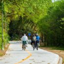 자전거(도로) 관광 코스 이미지