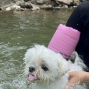 폭포가든 이미지