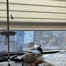20개월 아기 폐렴 : 원흥 아이제일병원 입원후기