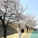 이성산성 관광안내소 | 하남 벚꽃 명소 덕풍천 당정뜰 후기｜사람 덜 붐비는 벚꽃길 추천