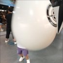 해운대복싱클럽 이미지