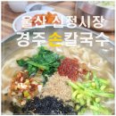 뿌리깊은손 이미지